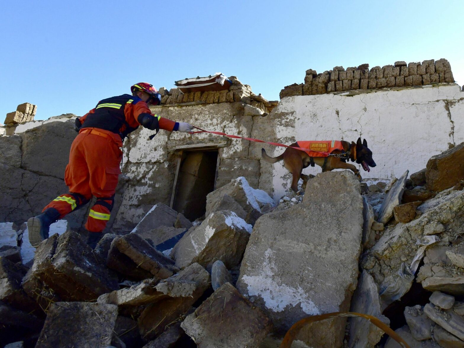 A firefighter and a rescue dog search through rubble after an earthquake