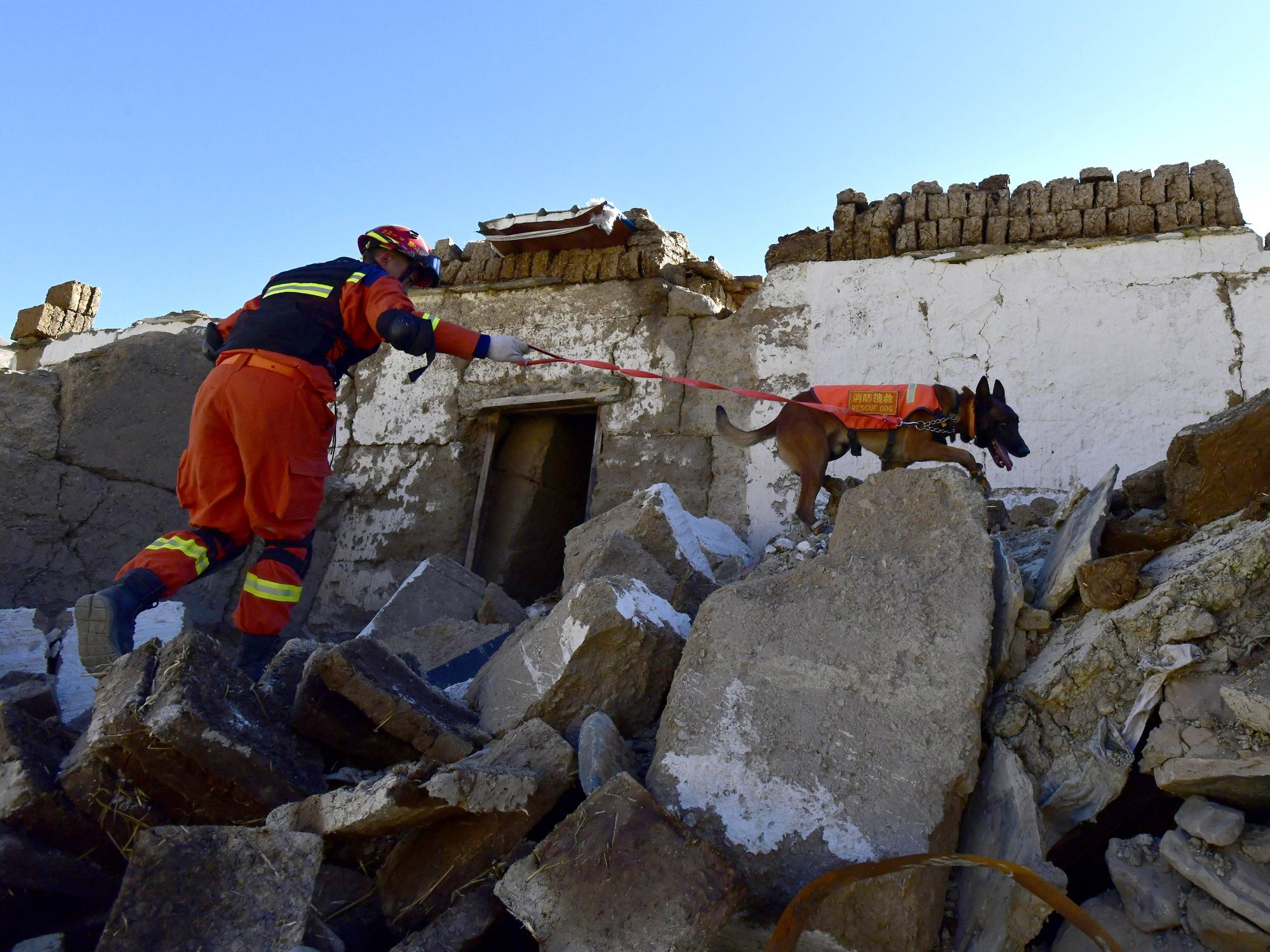 A firefighter and a rescue dog search through rubble after an earthquake