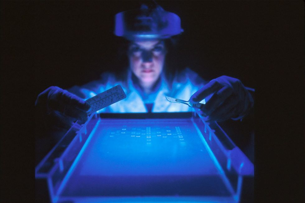 A scientist lit from below with a black light holds a scalpel in one hand and a ruler in the other over a transparent tray
