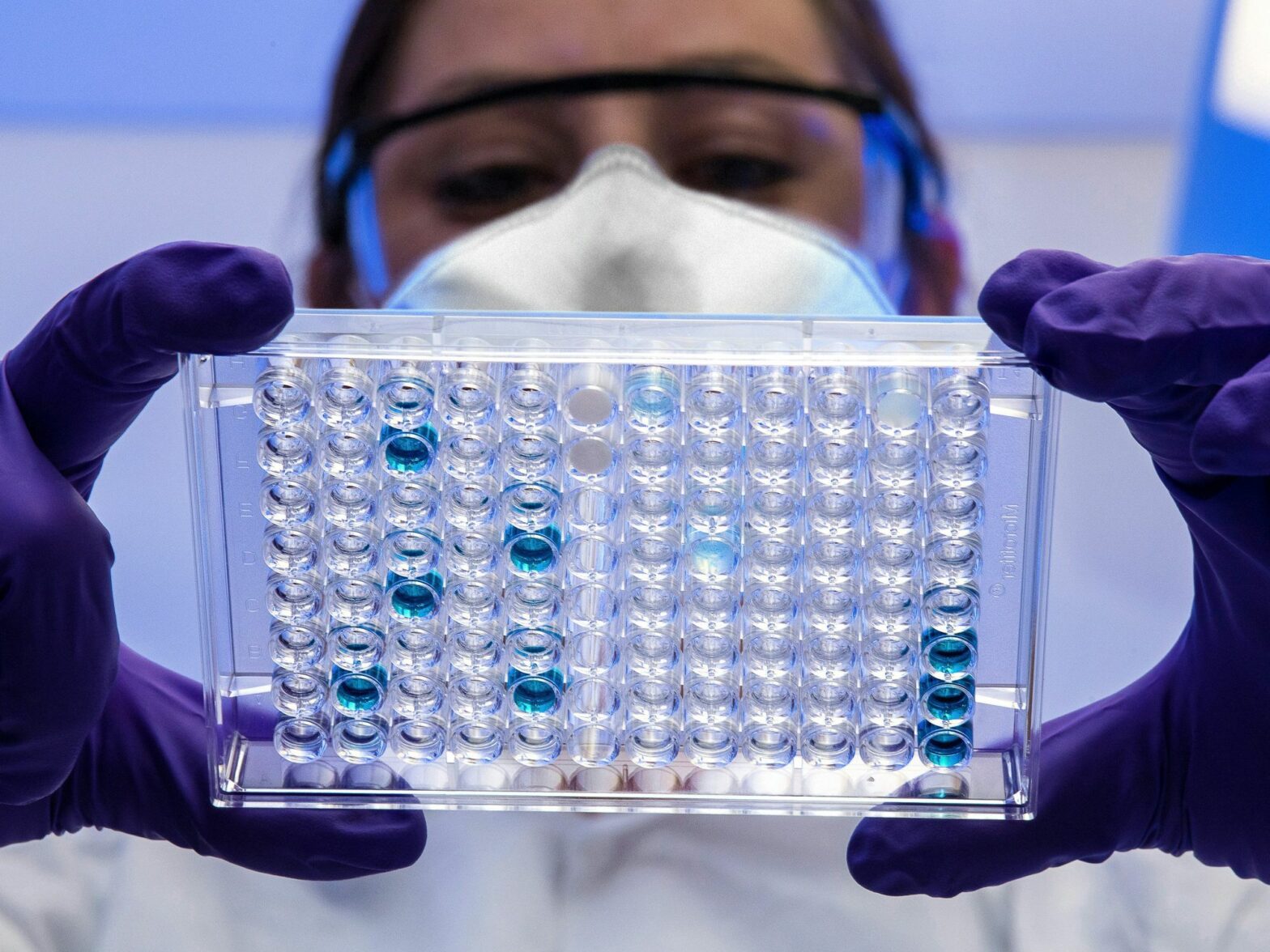 A scientists examines a tray of samples in a lab