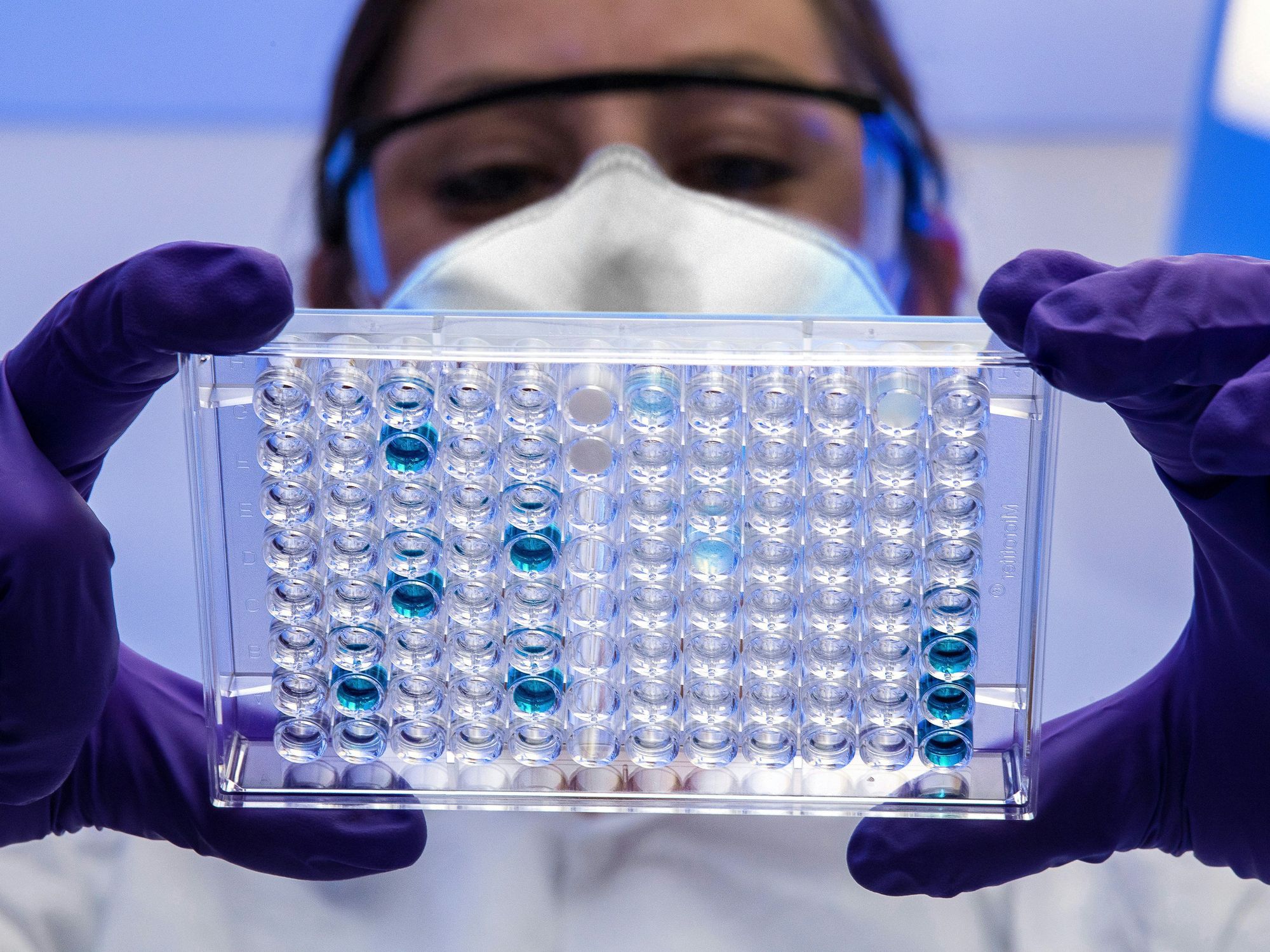A scientists examines a tray of samples in a lab