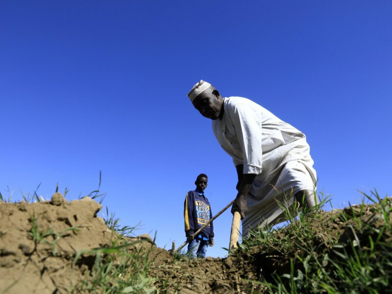 A Sudanese farmer prepares his farm for planting in Tomnar village in Dongola, Sudan.