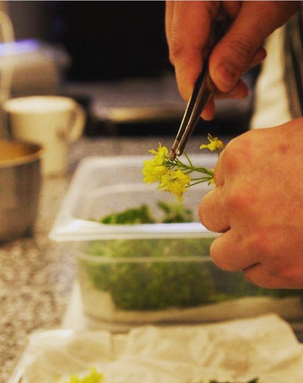 Chef preparing greens at restauracja Muja