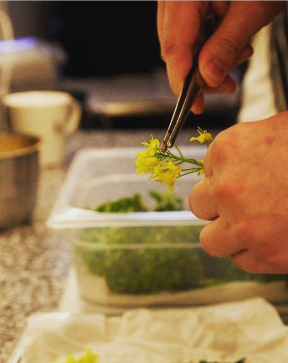 Chef preparing greens at restauracja Muja
