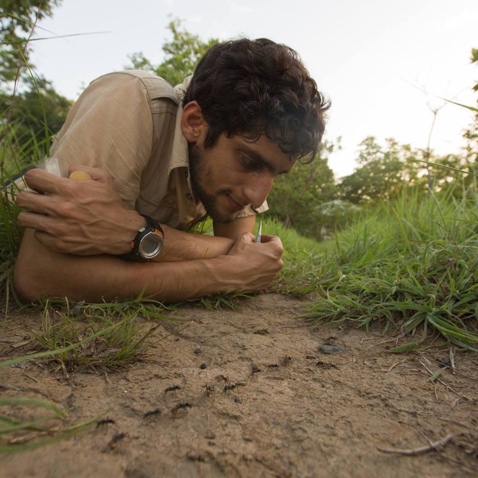 Erik Frank ibserving ants in the Comoé National Park, Ivory Coast.