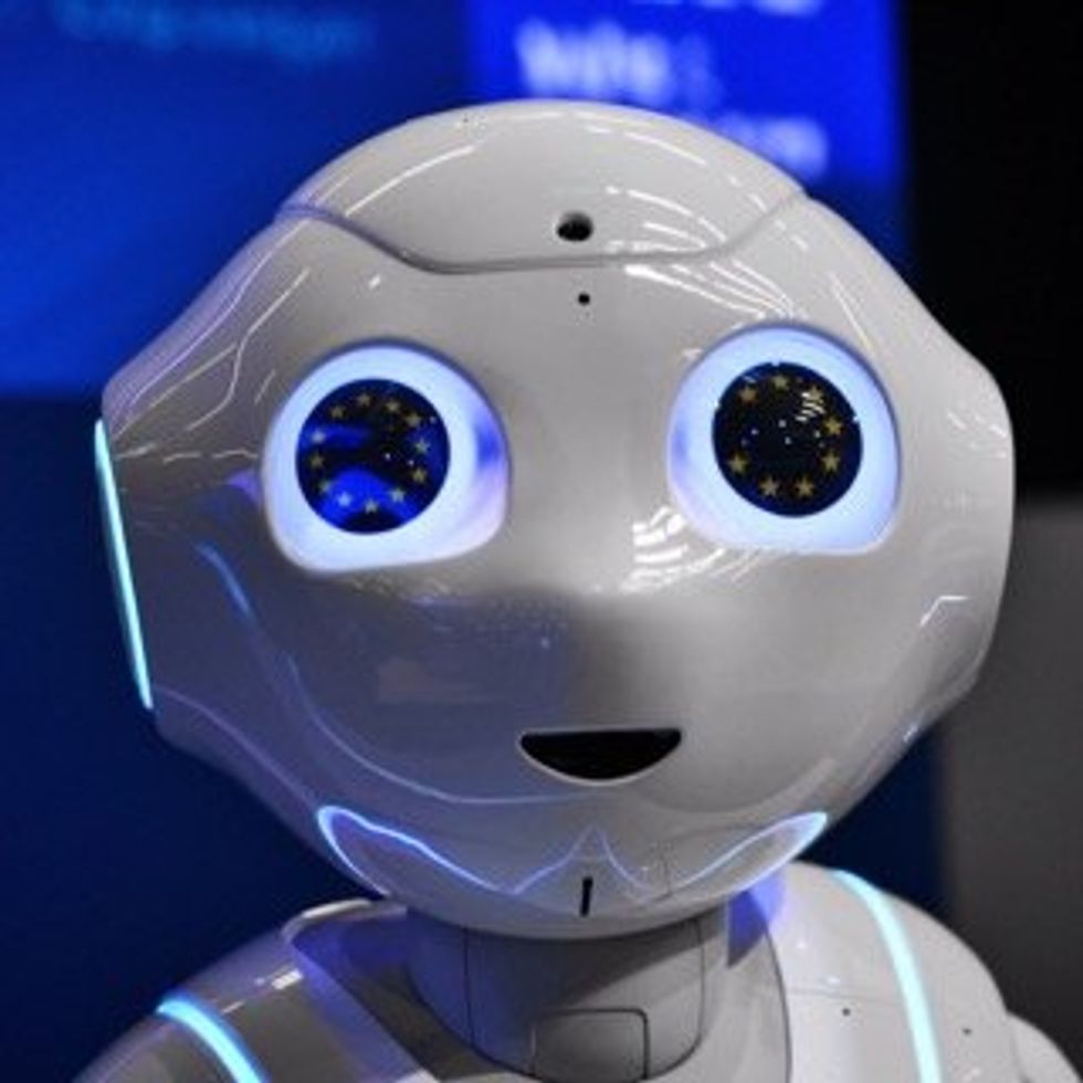 EU Robot