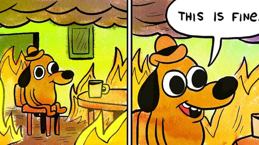 Image of a meme with a dog sitting in a room full of flammes, saying "This is fine"