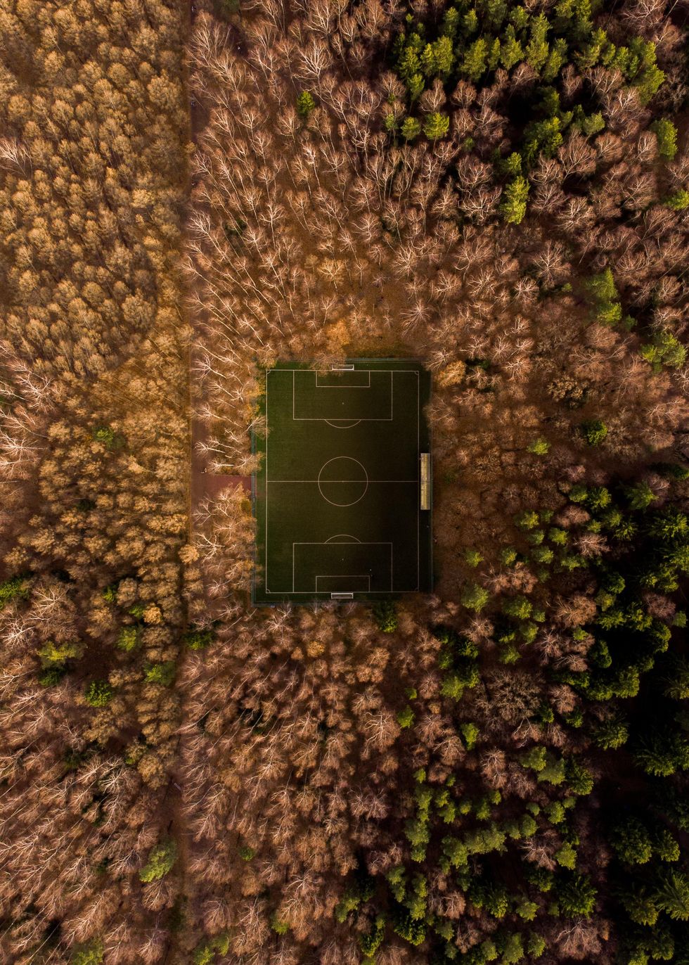 Photo from above of Meshchersky Park Pitch near Moscow in Russia
