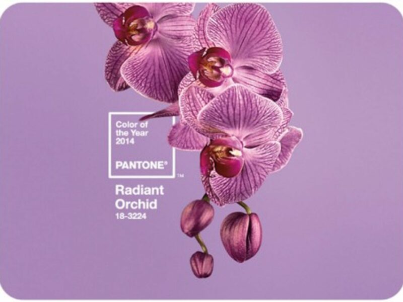 2014 Color of the Year: Radiant Orchid