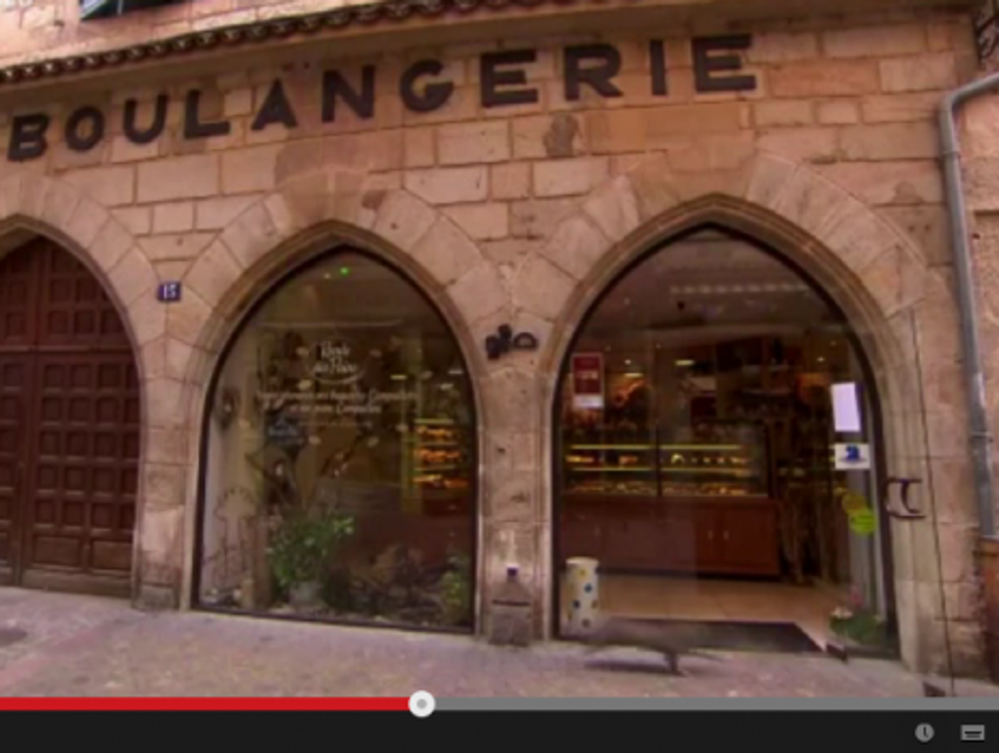 5 Gnawing Questions About That Cat Running Into A Glass Door On A French TV Show