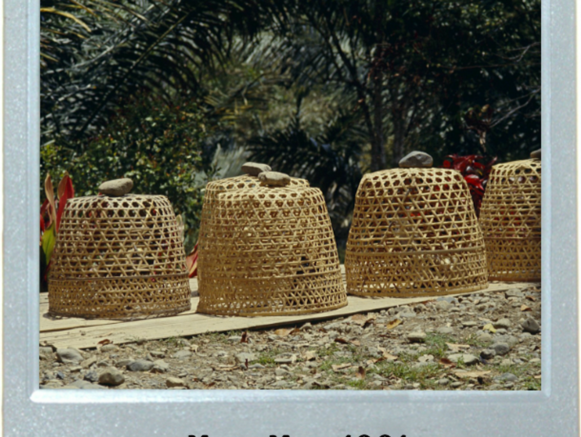 A Balinese Basket Riddle