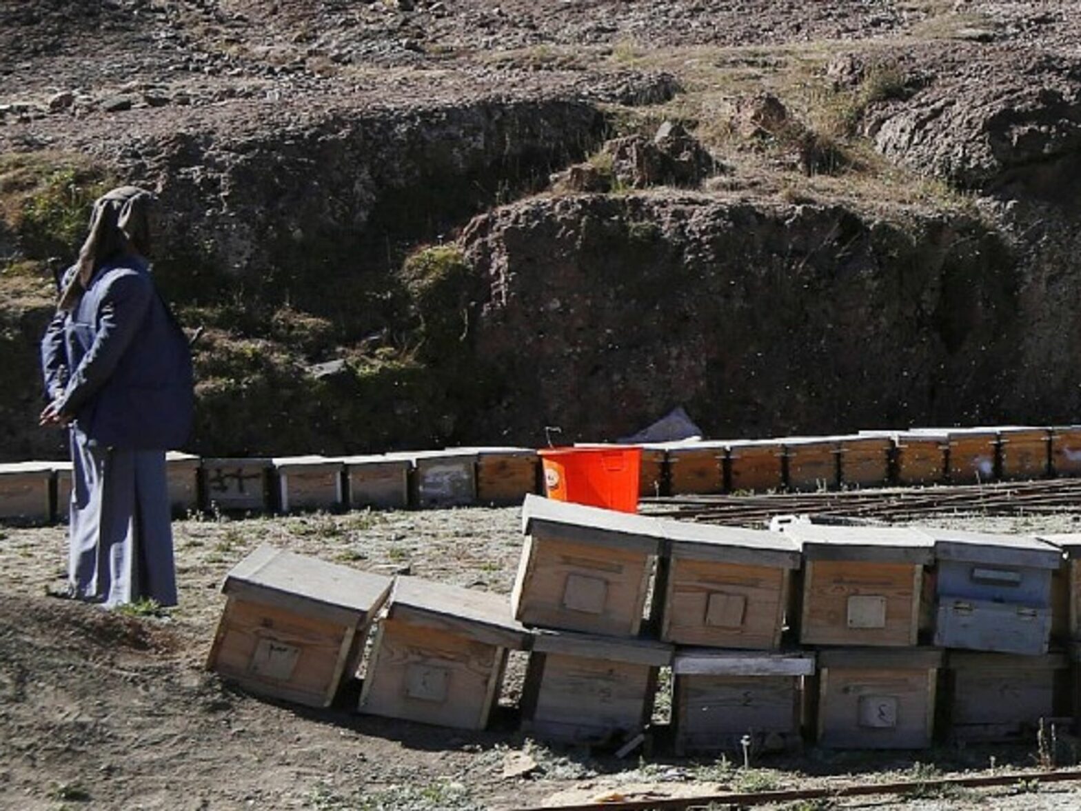 A beekeeper in Yemen in January