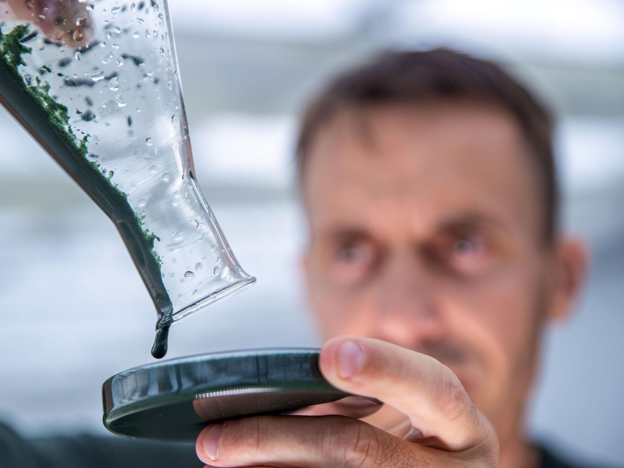 Seeing Green: How Algae Can Change Our Diets, Health And the Climate