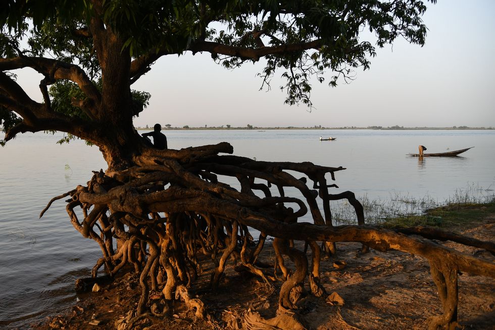 A boy sits amongst the roots of a tree along the Niger River in Segou, Mali ​