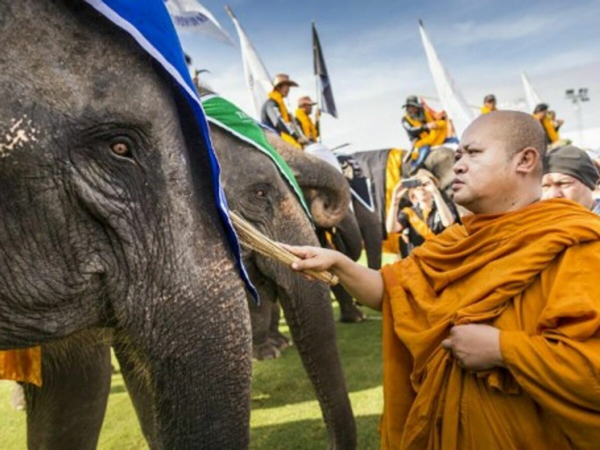 A Buddhist monk blesses an elephant before the King's Cup Elephant Polo Tournament in Bangkok.