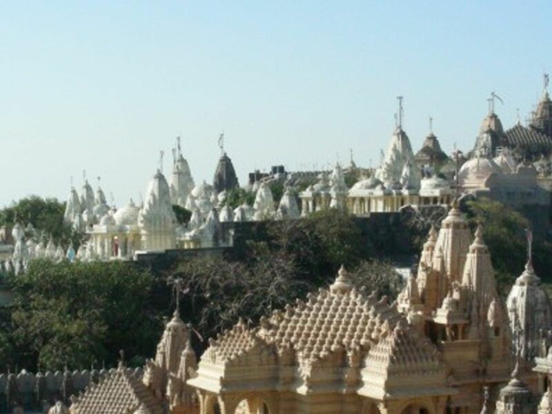 A cityscape of Palitana