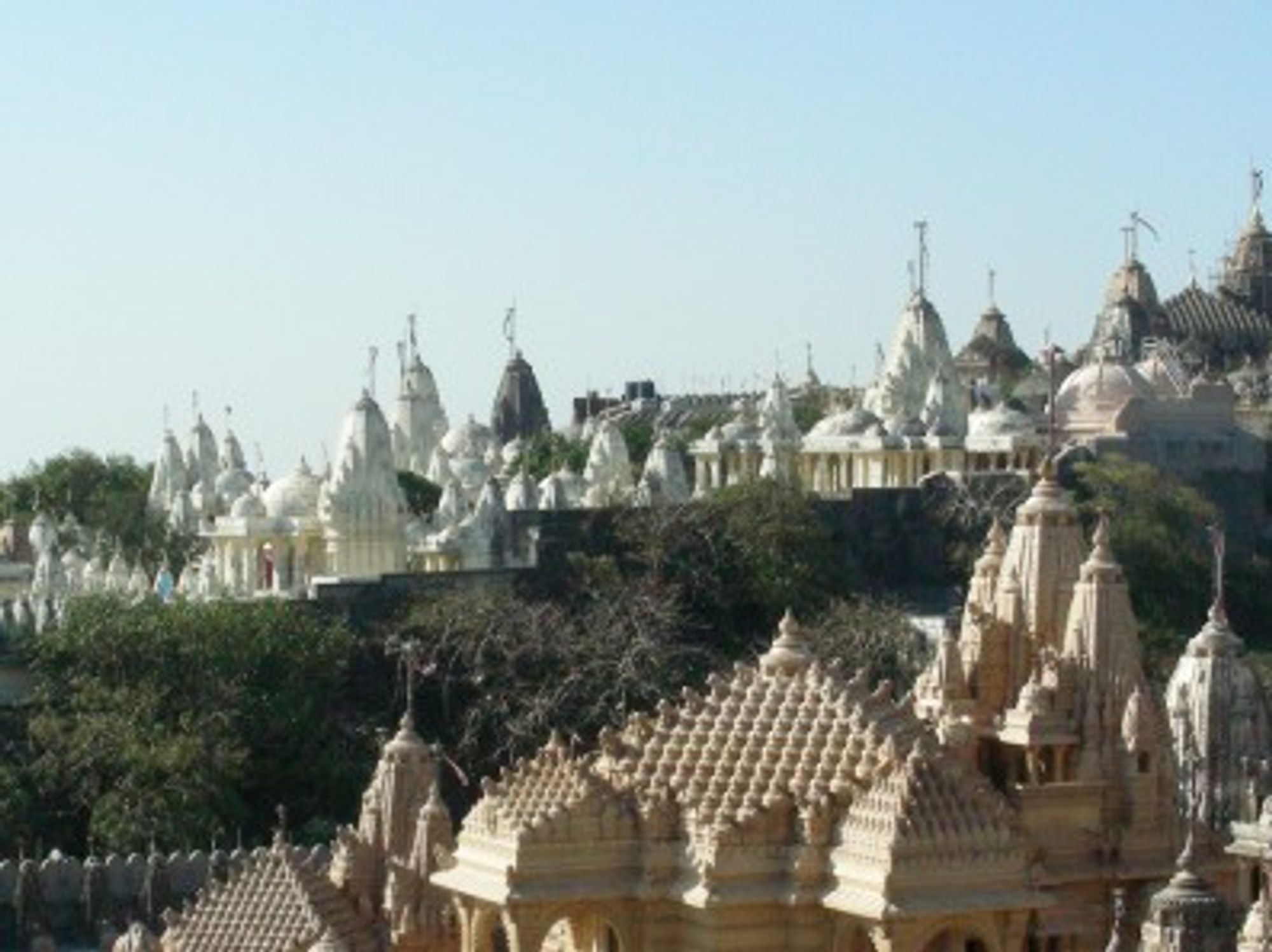 A cityscape of Palitana