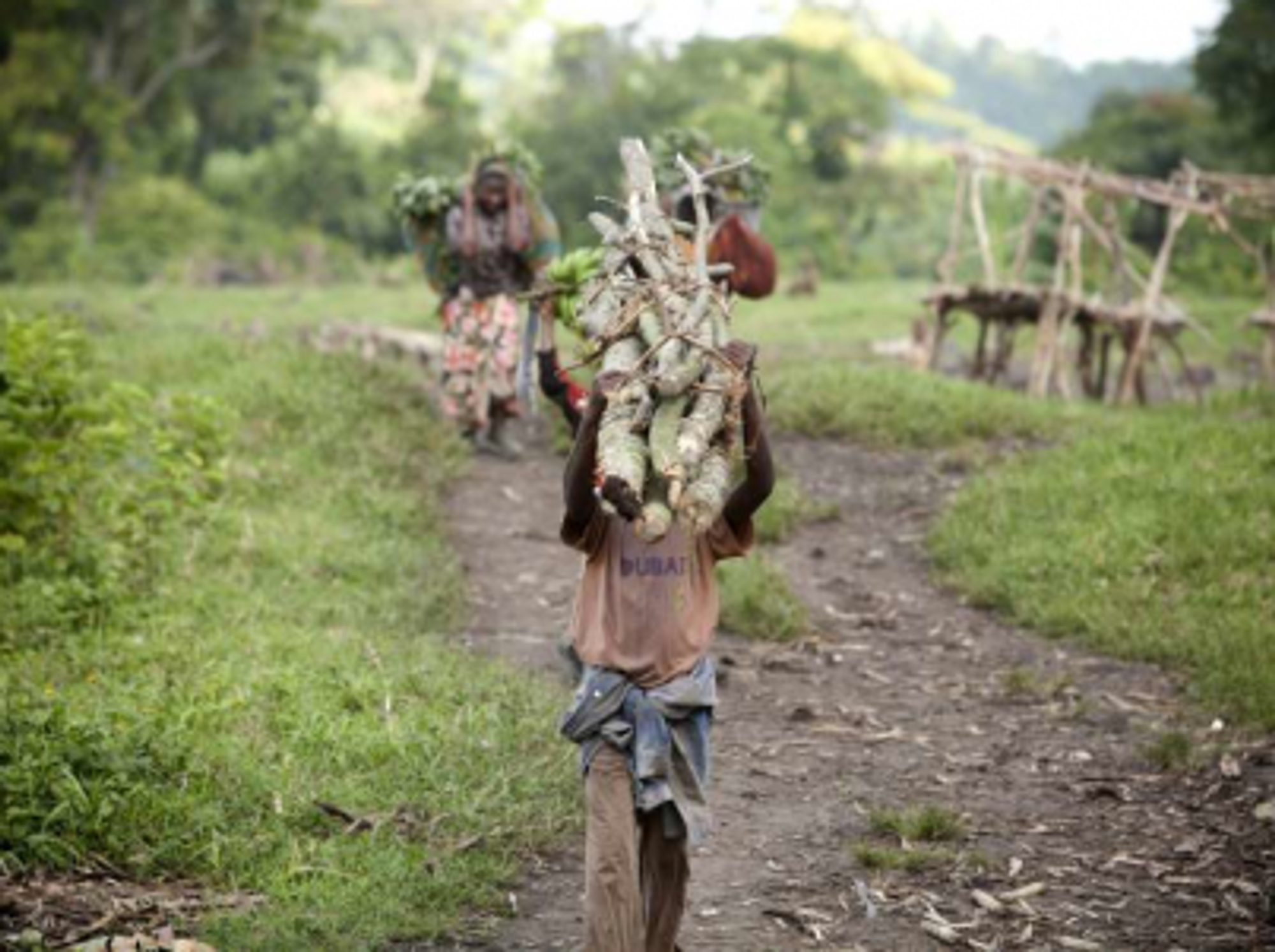A Congolese boy carries a stack of wood (UNHCR/S.Modola)