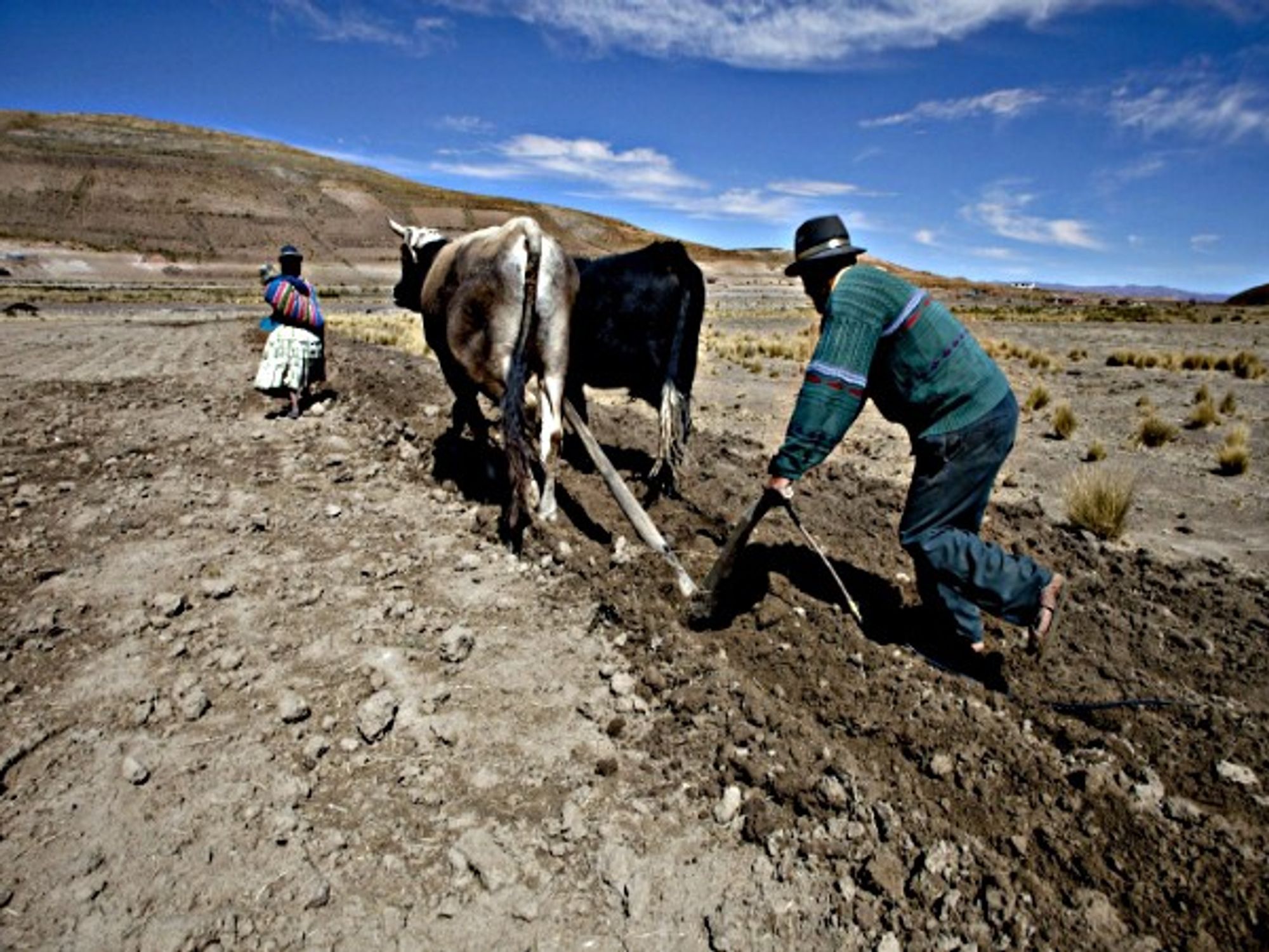 A couple of farmers tilling the ground in Toloma, Bolivia, on 2010