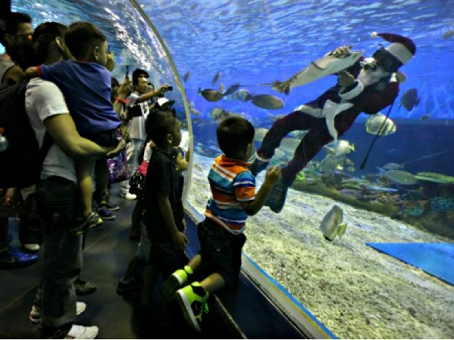 A diver dressed as Santa Claus feeds marine animals in a Manila oceanarium