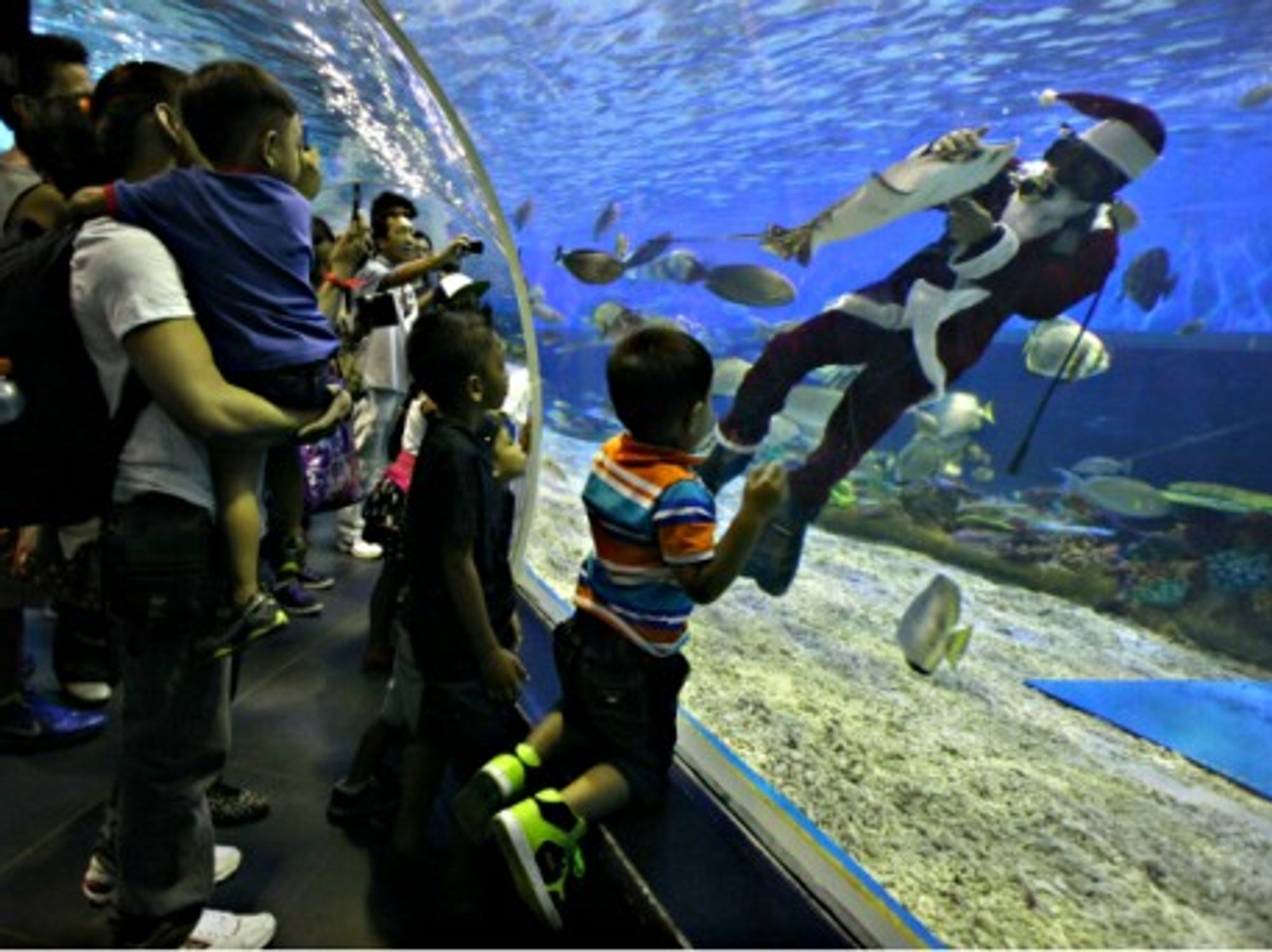 A diver dressed as Santa Claus feeds marine animals in a Manila oceanarium
