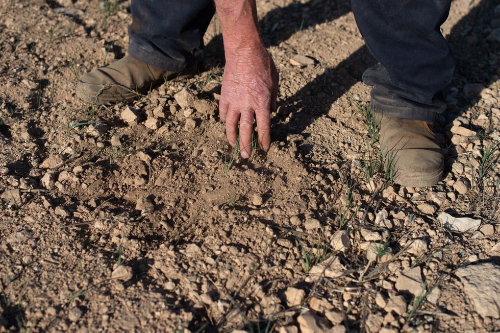 A farmer shows the dry land, on April 20, 2023, in Murcia, Region of Murcia (Spain).