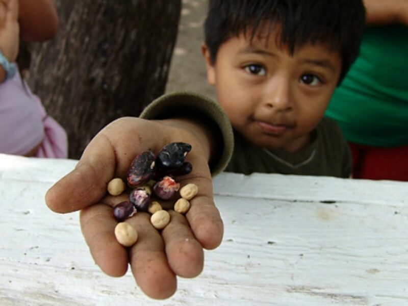 A farmer's son in South-Central Los Angeles