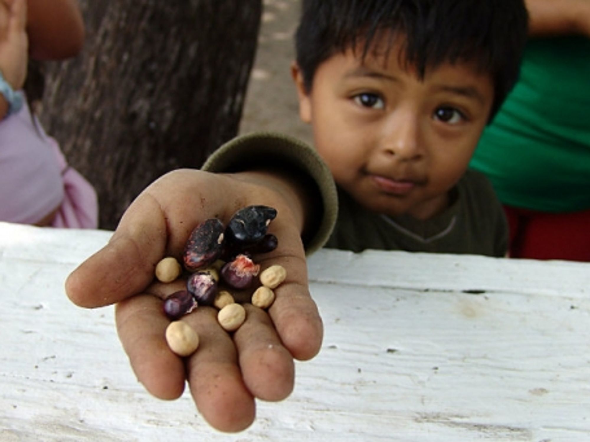 A farmer's son in South-Central Los Angeles