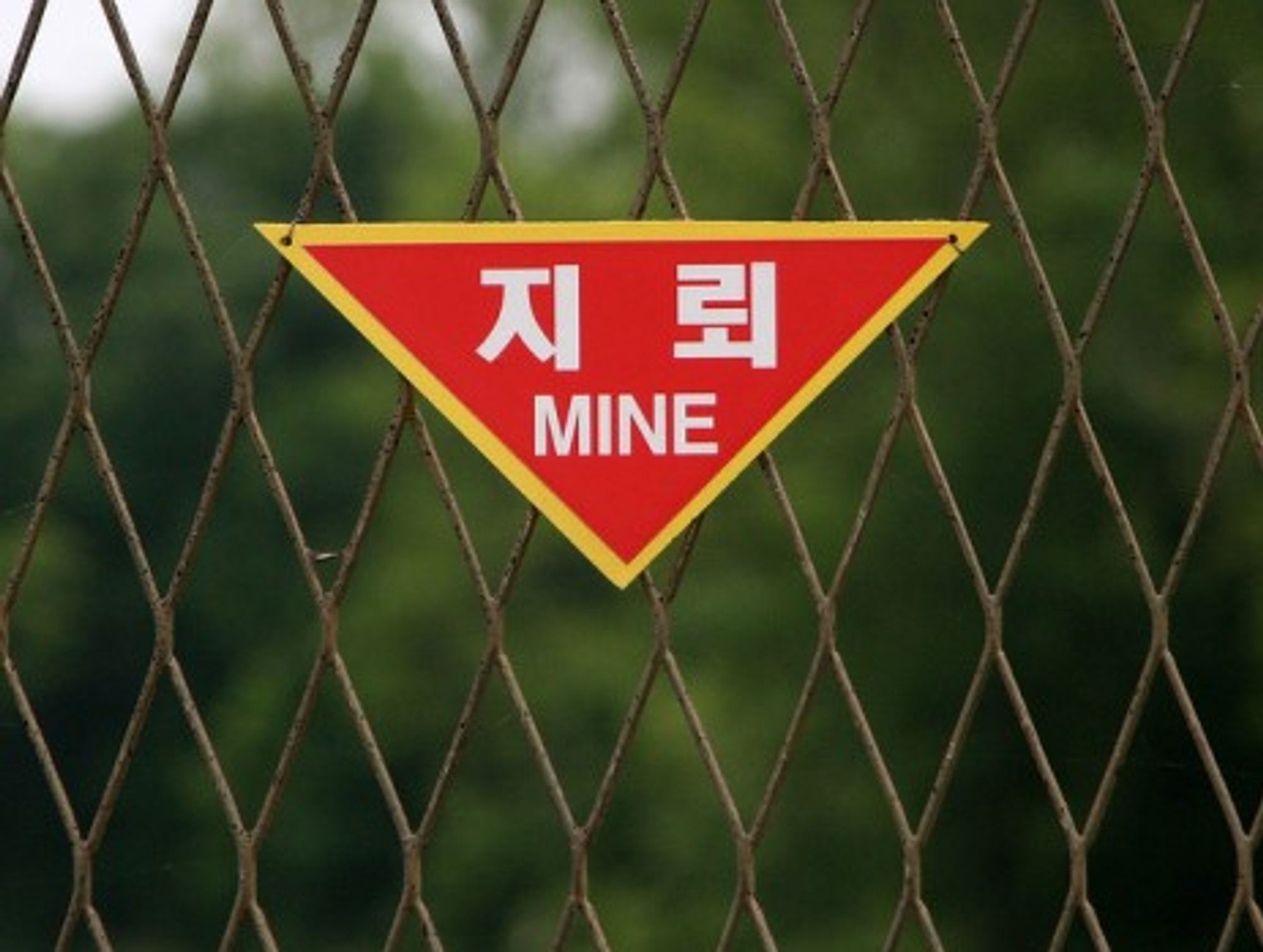 A fence along the DMZ (Demilitarized Zone) separating North and South Korea (Ben Kucinski)