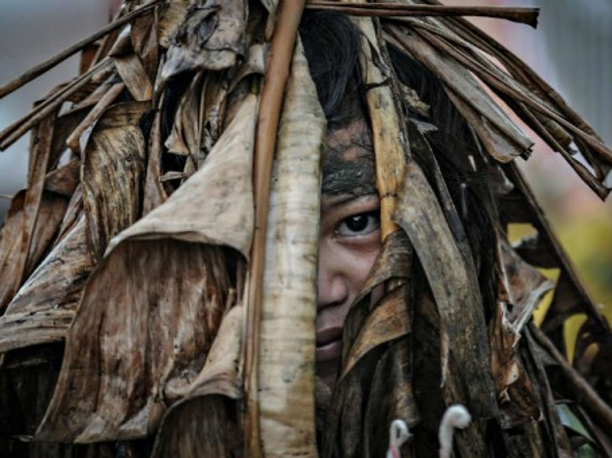 A Filipino devotee is covered in mud and dried leaves during a religious tradition marking the Taong Putik festival in northern Philippines.