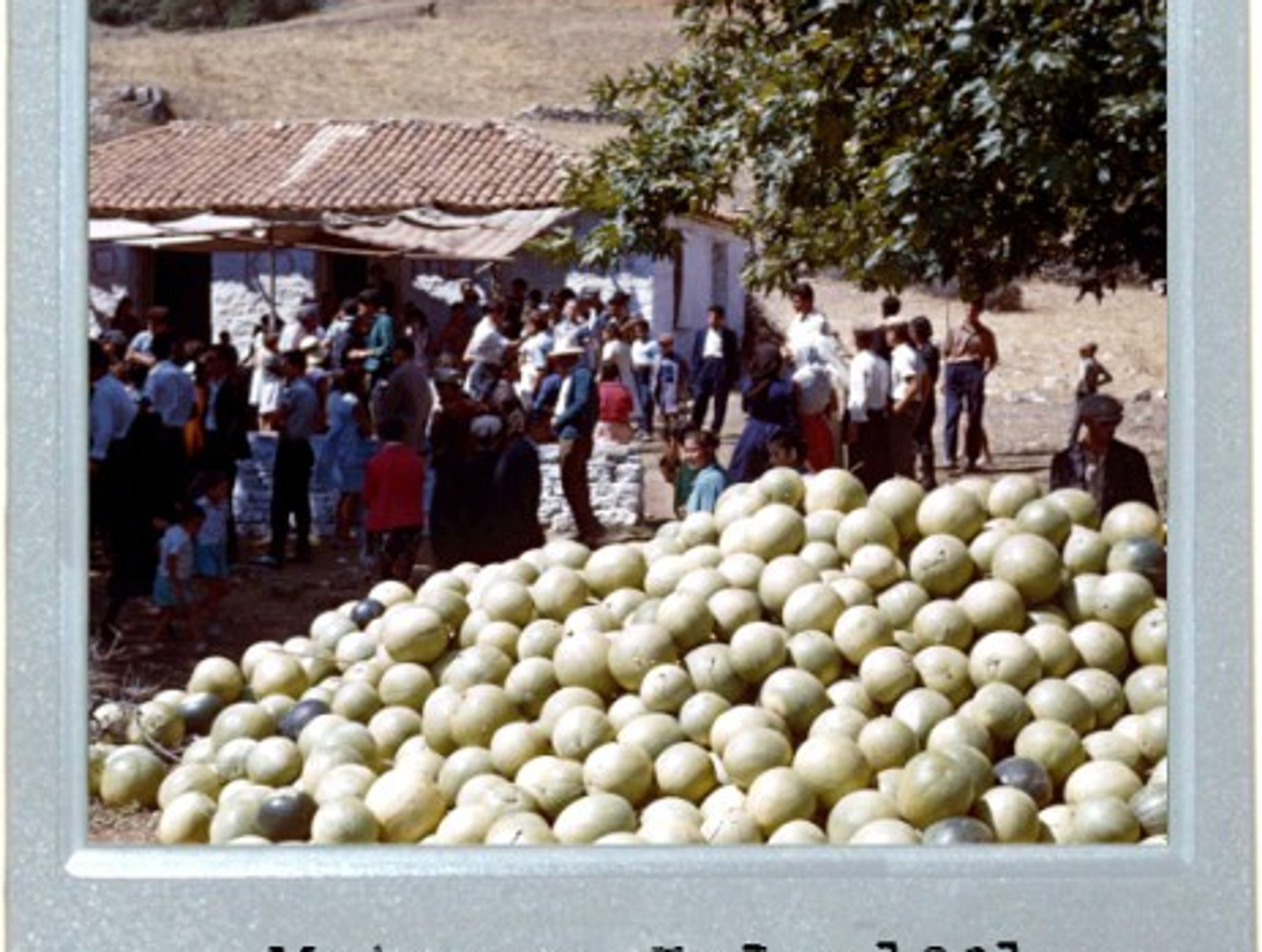 A Fruitful Trip