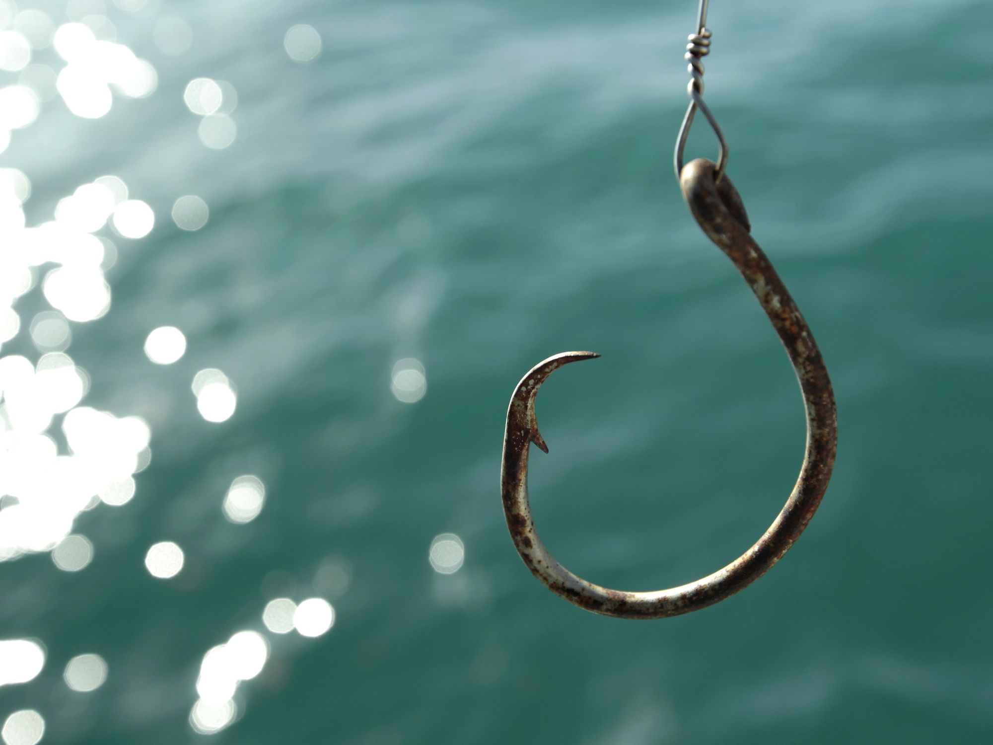 A hook for shark fishing.