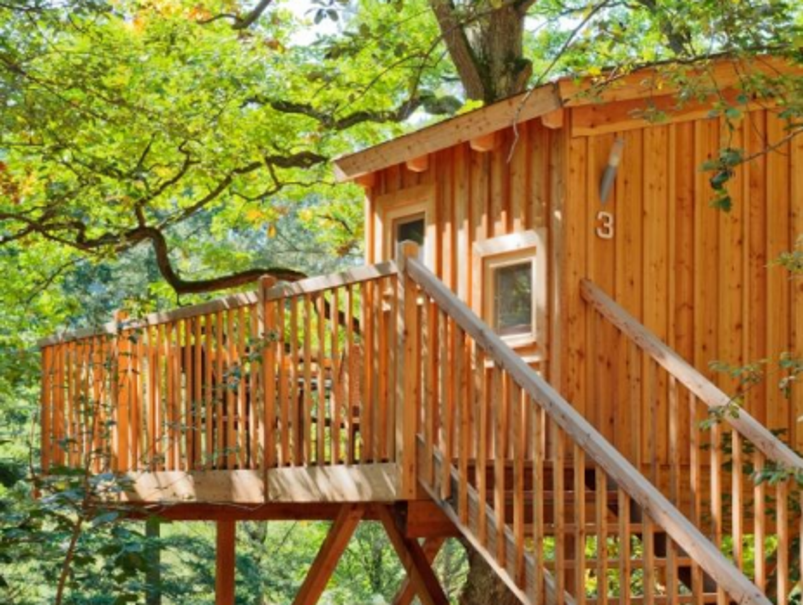 A hotel in a tree
