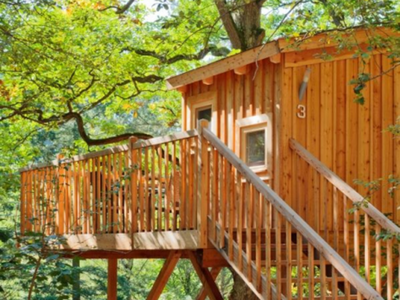 A hotel in a tree