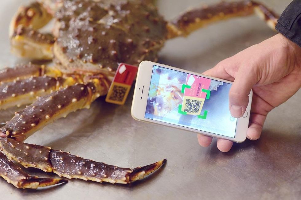 A king crab with a QR code attached to one of its claws.