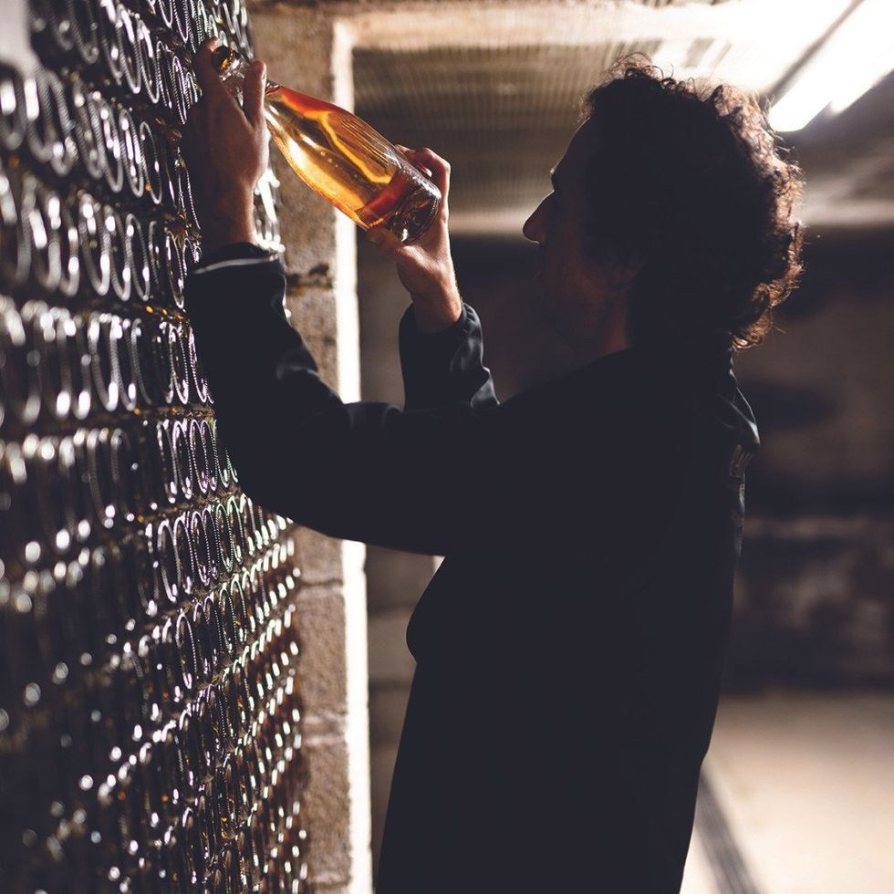 A man picking a bottle of wine in a wine cellar.