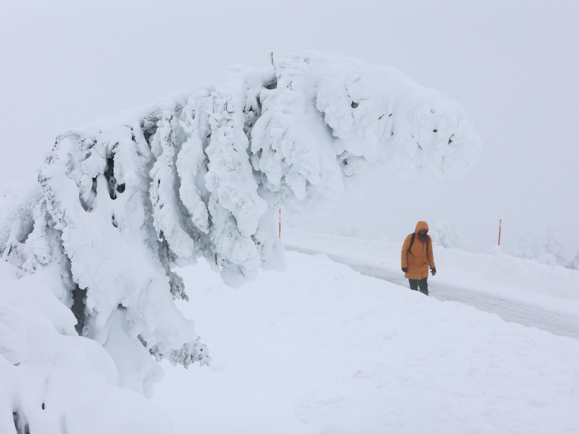 On The Limits Of Our Modern Obsession With "Resilience"