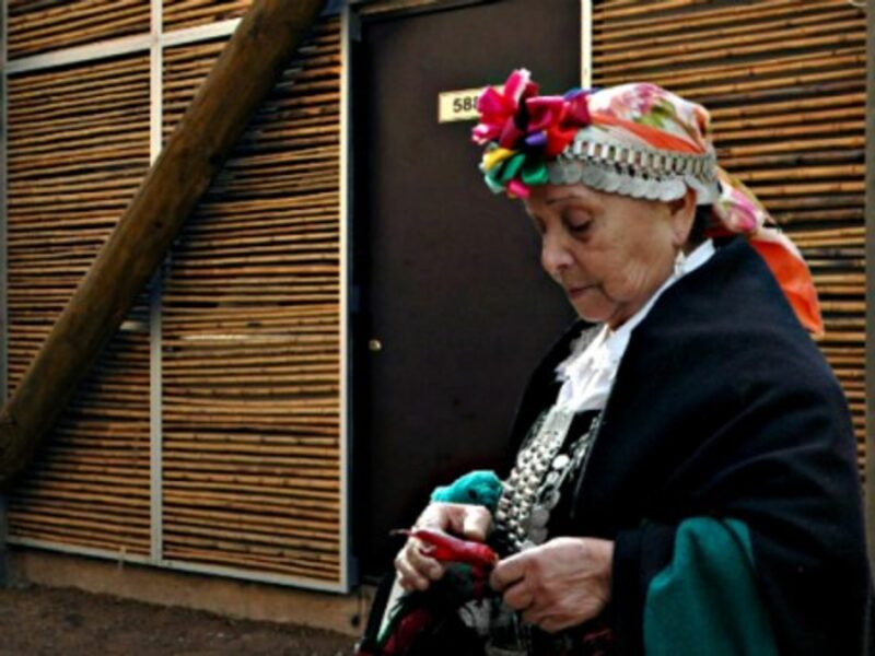 A Mapuche woman near the housing units built by architects from Undurraga DevÃ©s in Huechuruba, near Santiago.