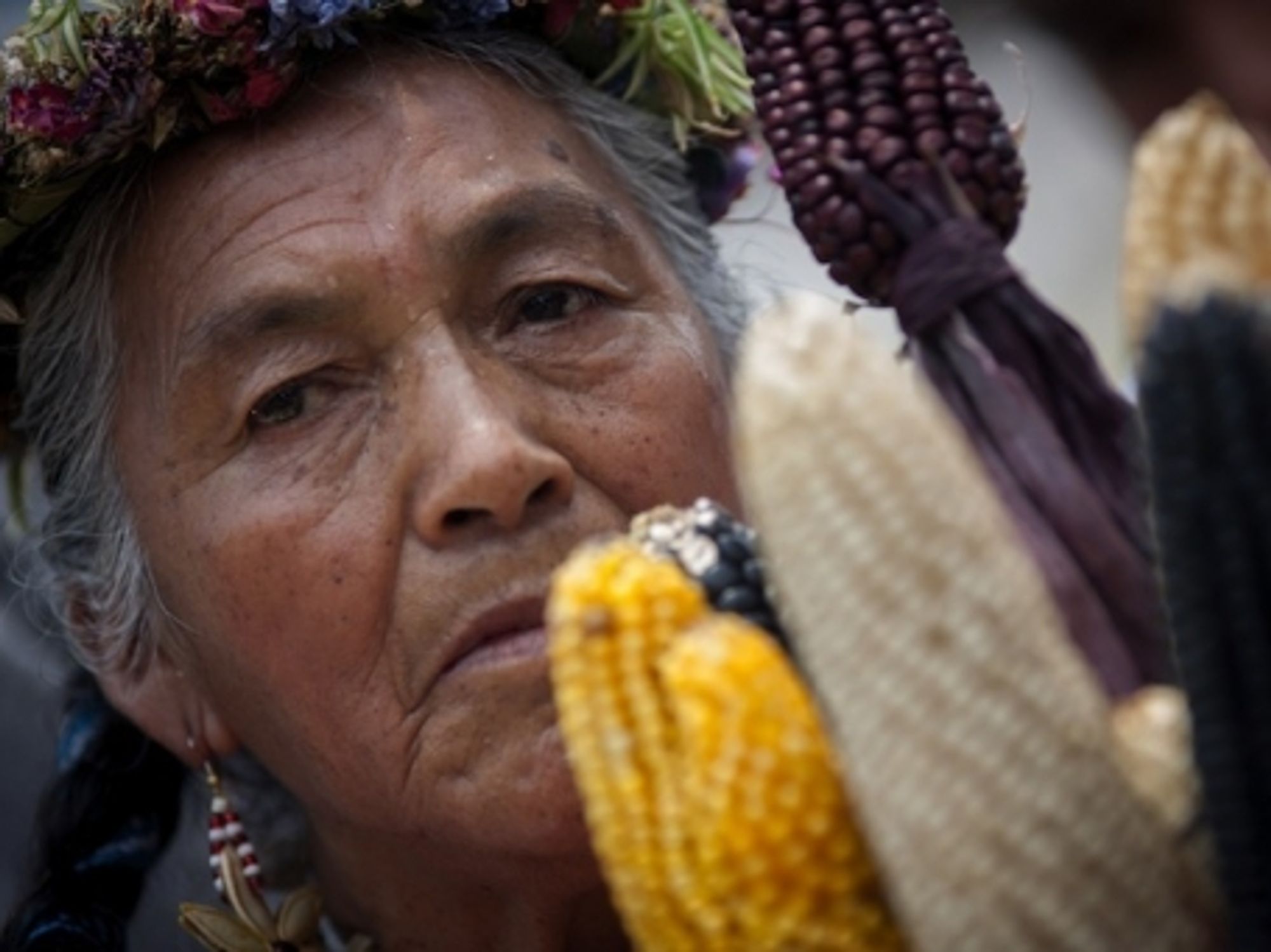 A Mexican woman during a protest day against the transgenic company Monsanto