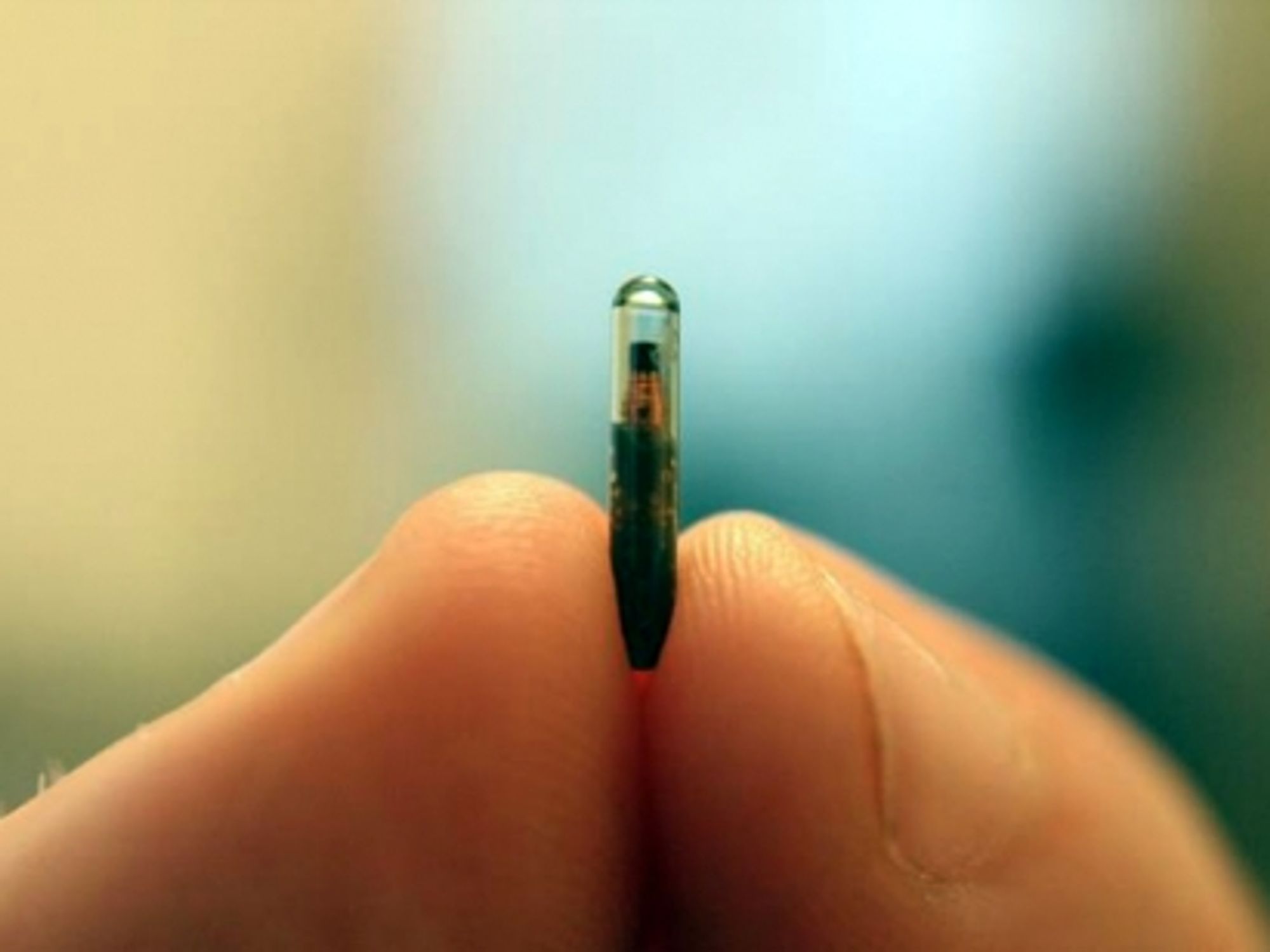A microchip ready to be implanted