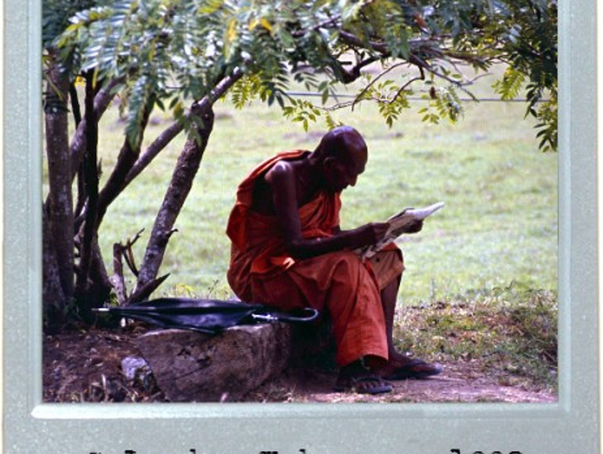 A Monk's Peace Of Mind