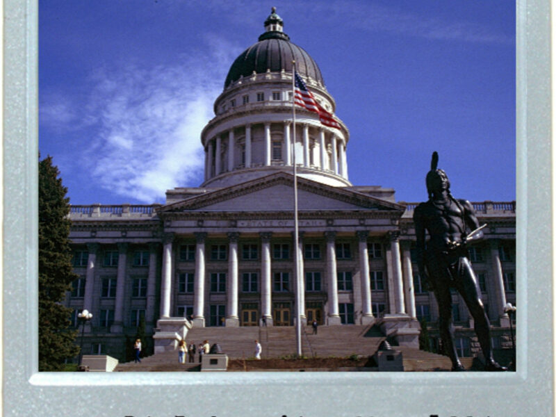 A Mormon State