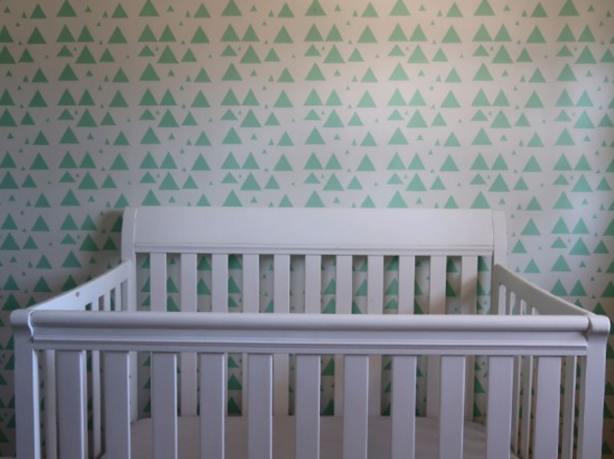 A number of young people are prioritizing the environment over having kids.
