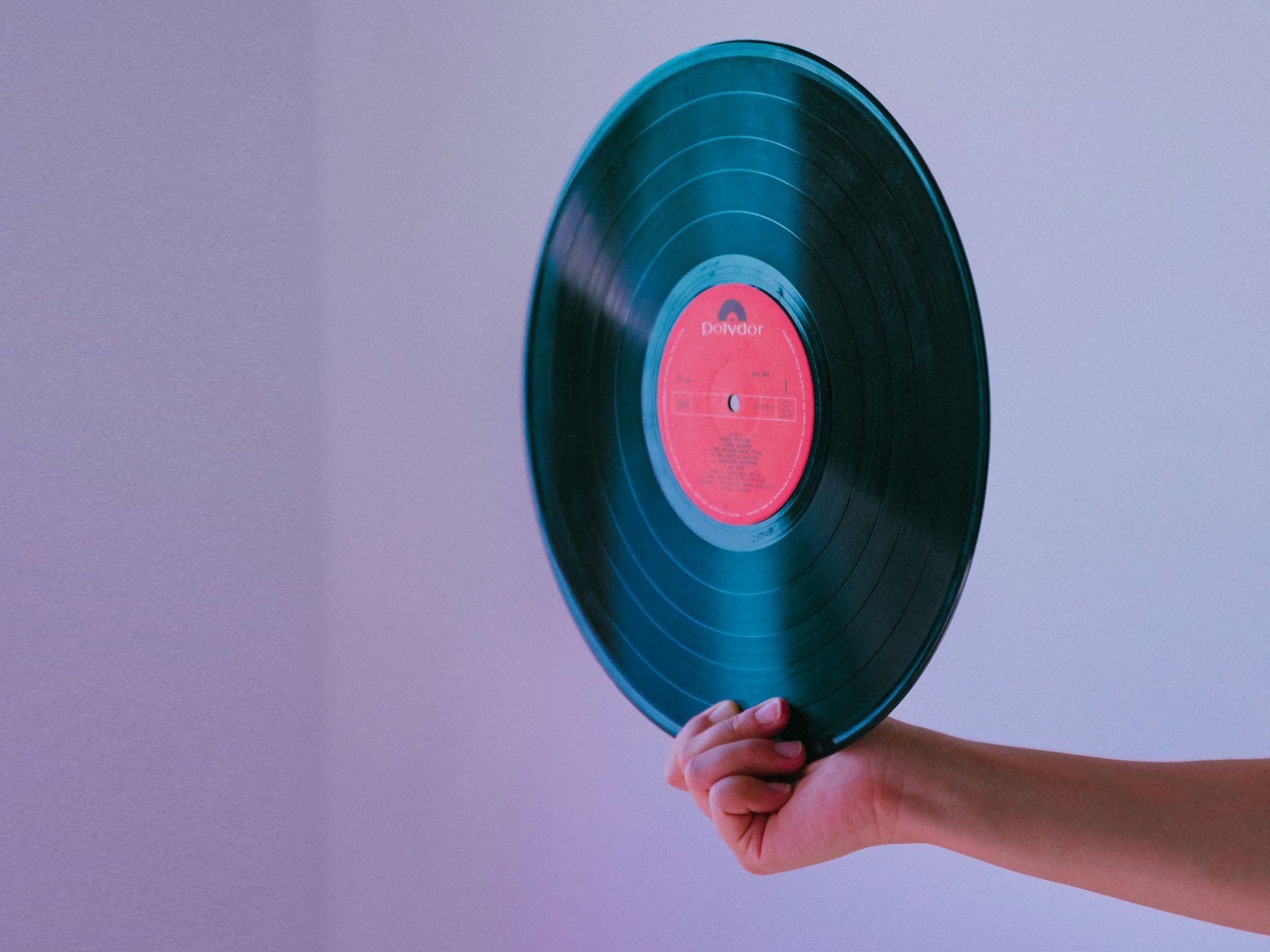 a person holding a vinyl