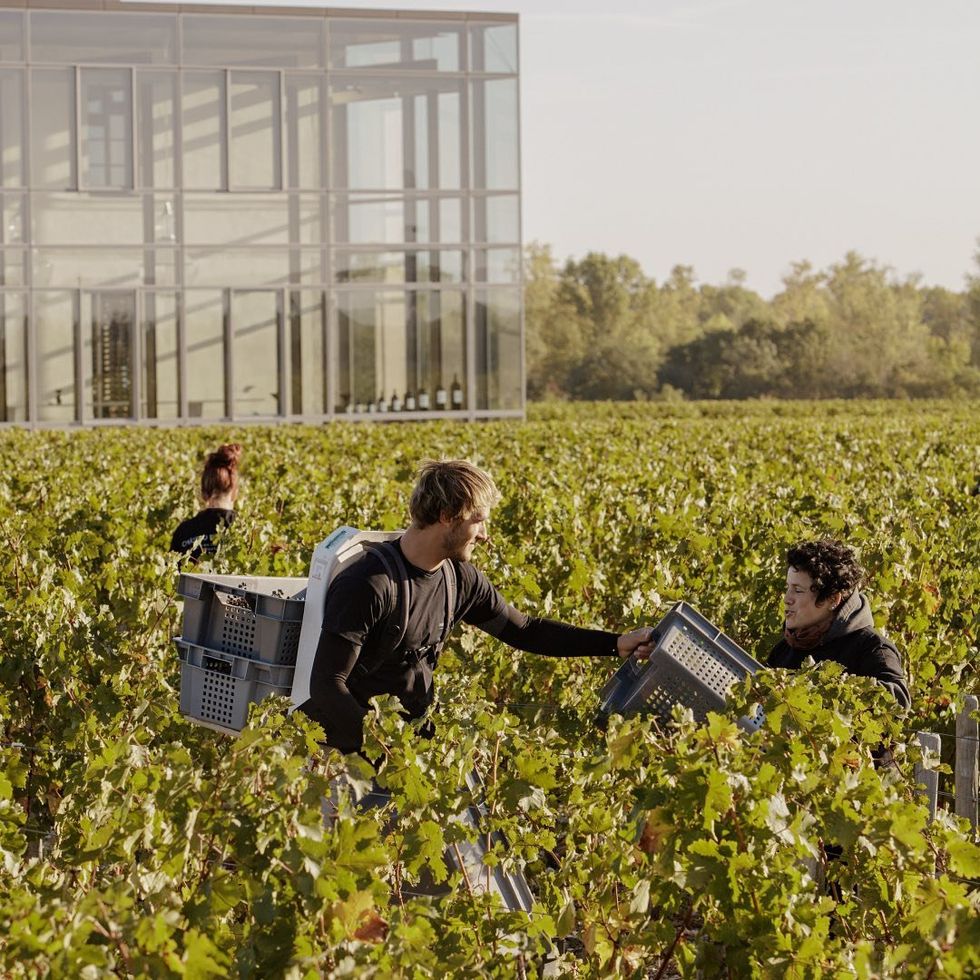 a photo a Wine grower handing over a wine crate to another fellow wine grower.