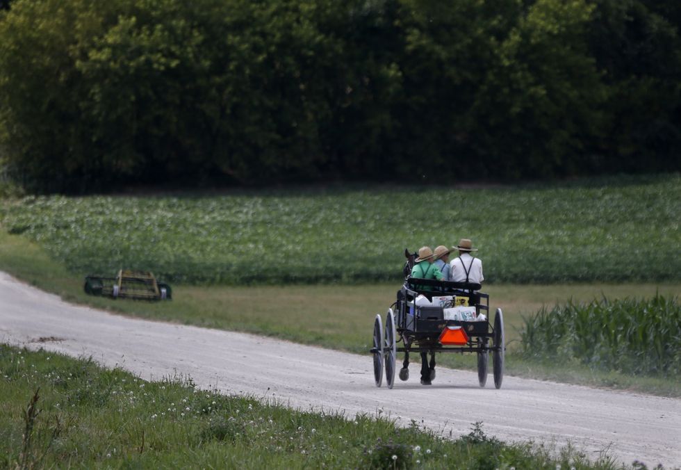 A photo of an Amish family travelling by buggy in Minnesota