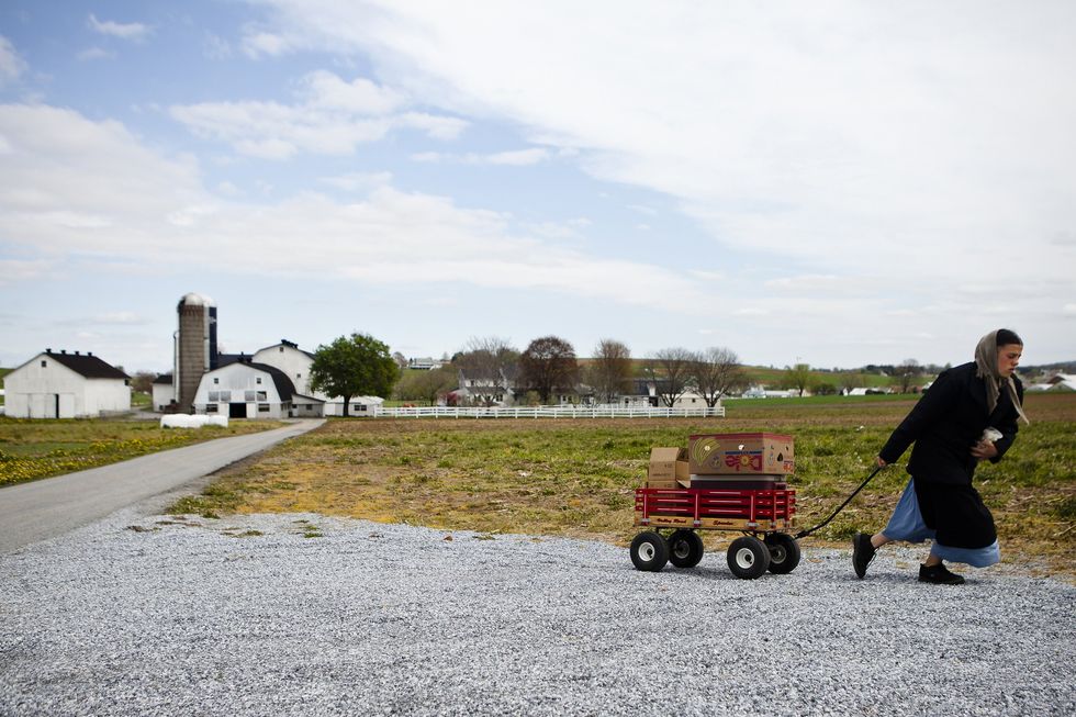A photo of an Amish girl pulling a wagon filled with home made baked goods to be sold at a road side stand
