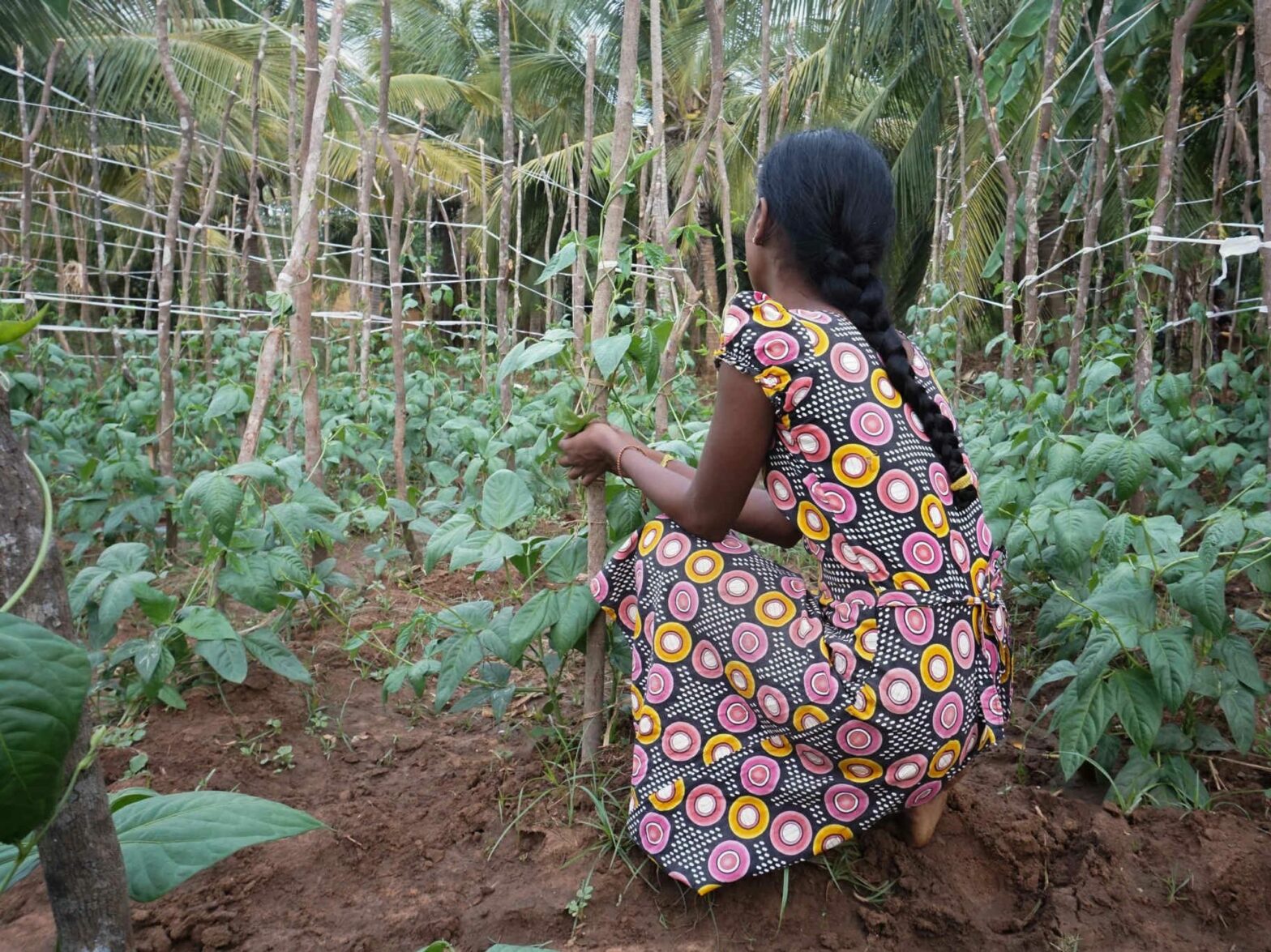 A photo of girl performing manual labor on a farm in the Jungle.