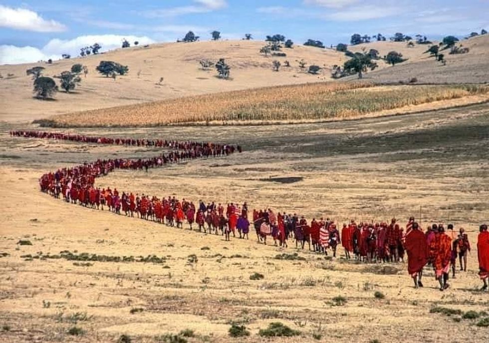 A photo of the Maasai people changing locations as part of their traditionally nomadic lifestyle.