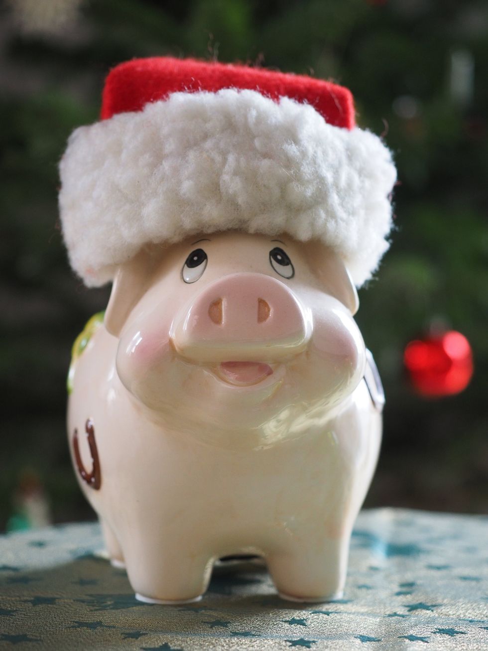 A piggy bank in a Santa Hat.